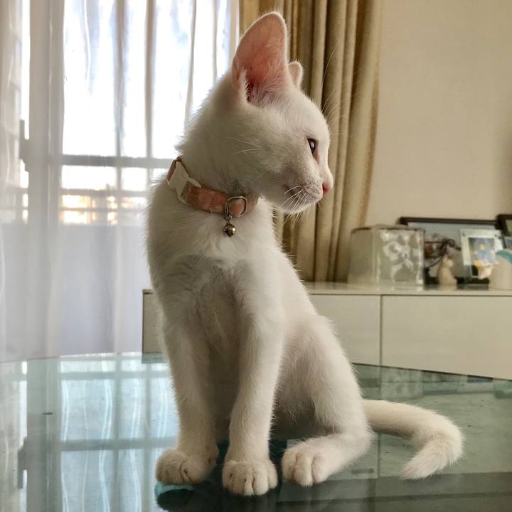 076fab74 e562 49b8 a79d 3ec32391e41f 1566634079148