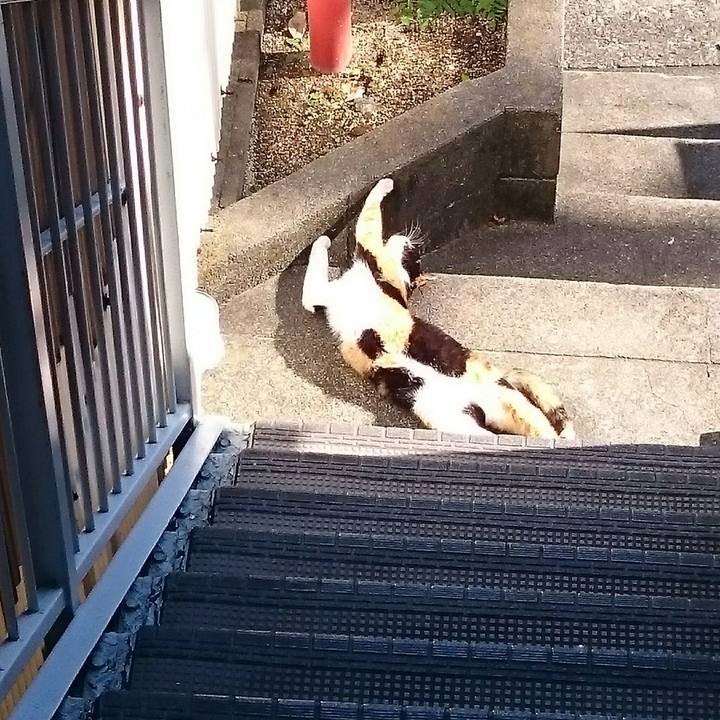 076fac46 9cac 486e afba bc1feab56171 1509850073683