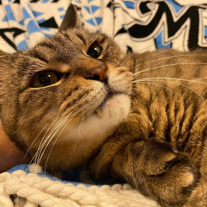 076fb0e1 47fe 4bb6 9f4a f0098d43d8ac 1664070370975