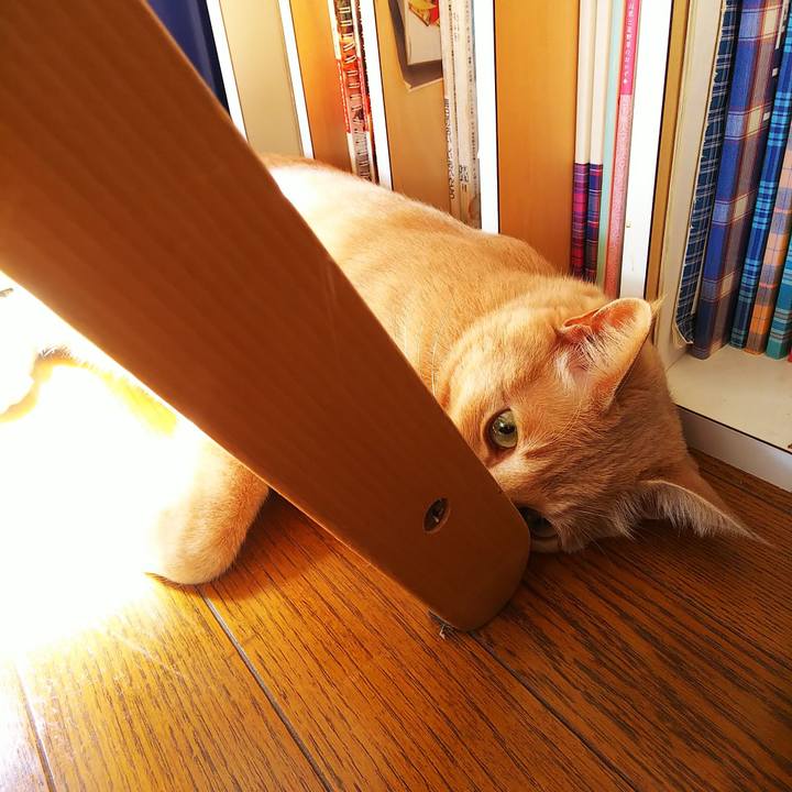 076fce79 8ea2 429a 99dd 67bdef631f33 1632453146050