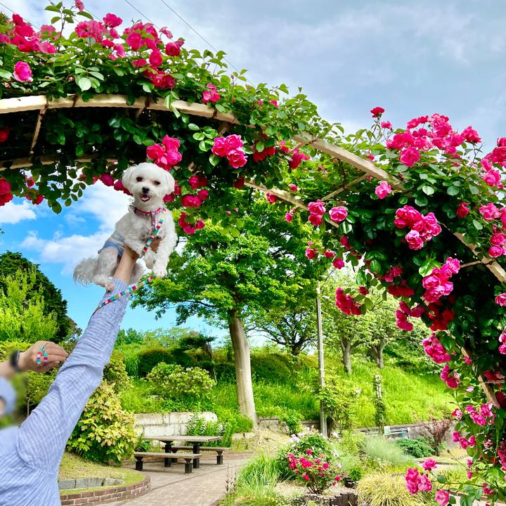 076fe2ce 31d6 4a65 8be5 5a64f0d82bc9 1653983280553