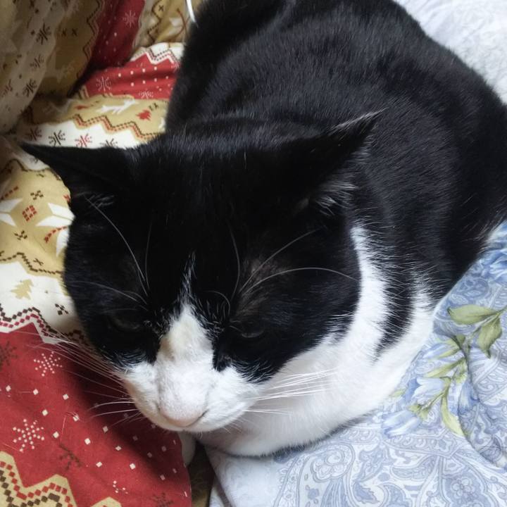 07703db8 32f1 4a85 93a7 e684cc2c6cdf 1549489787145