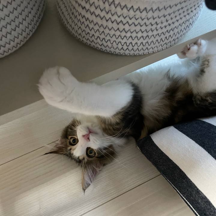 07705413 0755 448b a1ed 514d586312dc 1634679059664