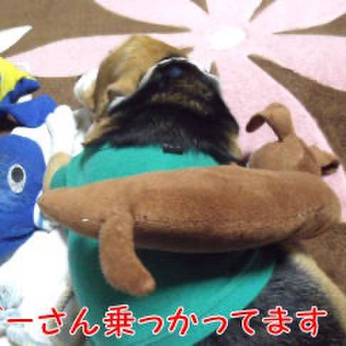 07707e06 9f4c 49ba 87d6 3e3743219ac8 1711410389566