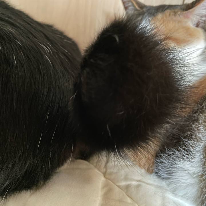 0770b668 6460 4e94 ade3 2b5406fbf826 1651960826567