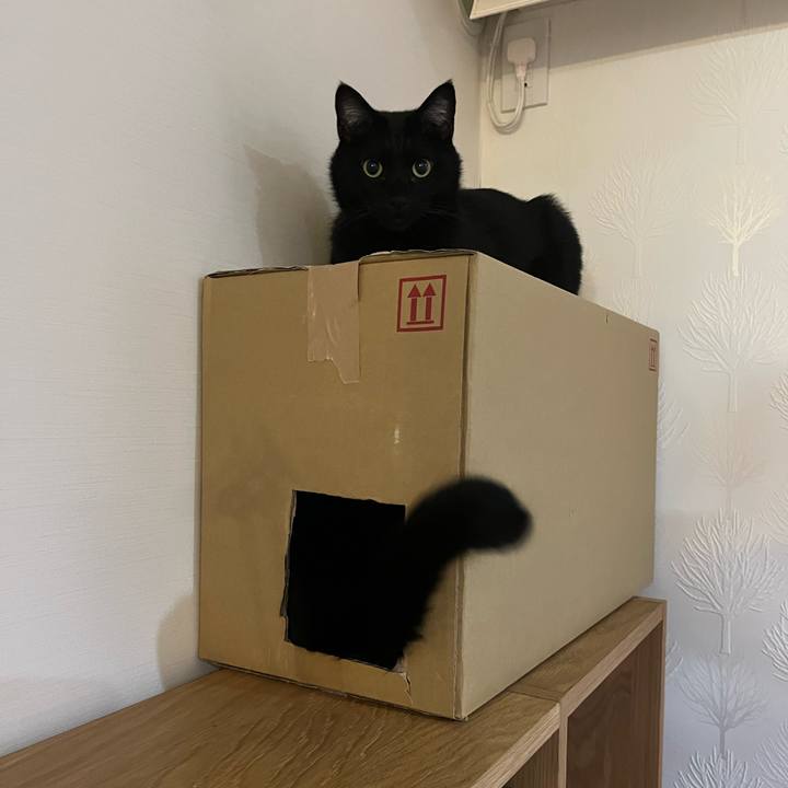 0770bf3b d7a5 46ed b582 73f240bd0bf6 1671579430081