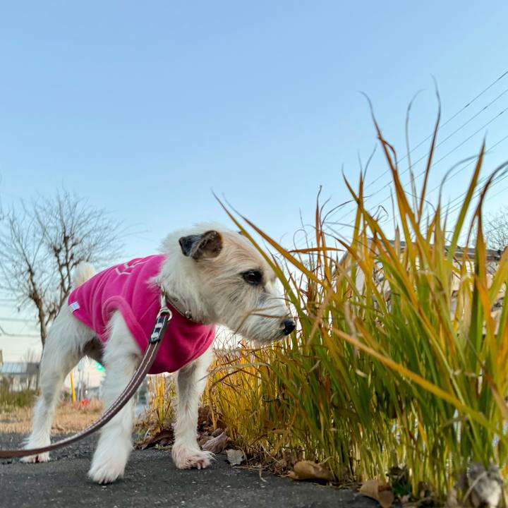 077101e3 1400 476c a7d1 bf00787c20ab 1766521601463