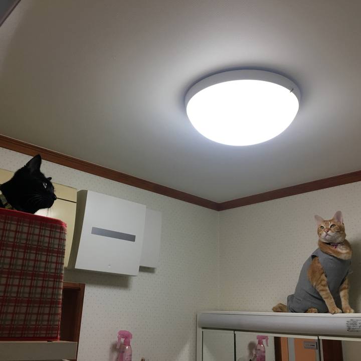 077103ff 2b99 49eb a2e5 4480b9255f09 1524405043205