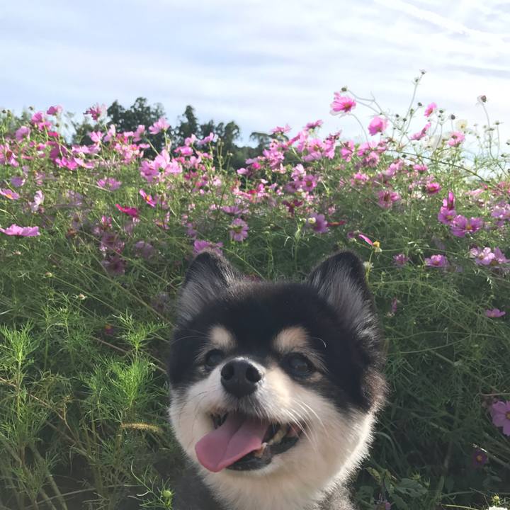 07716813 5e84 4abb 9917 ad6d3bc03972 1573643820905