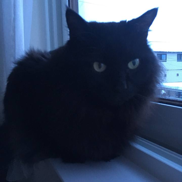 07719d93 aebc 44ee 826c 6a13138207ed 1549591185565