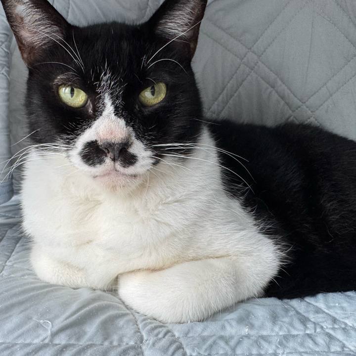 0771e776 4293 47d2 9907 7eefae663d0d 1757745280053