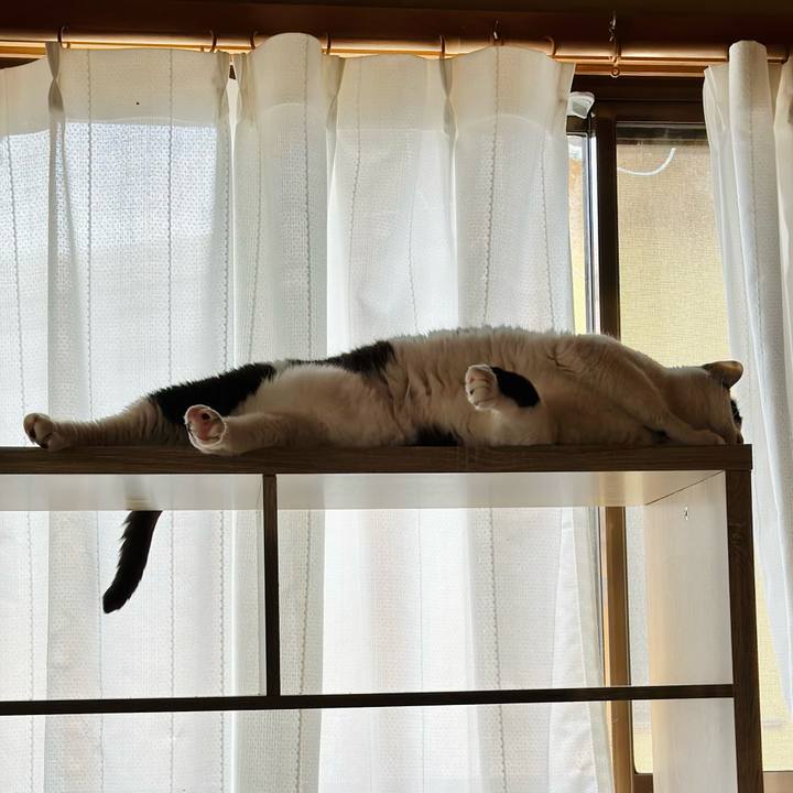 07722a4f fd9f 43f5 8834 5fd2c0d8f48c 1713494188832