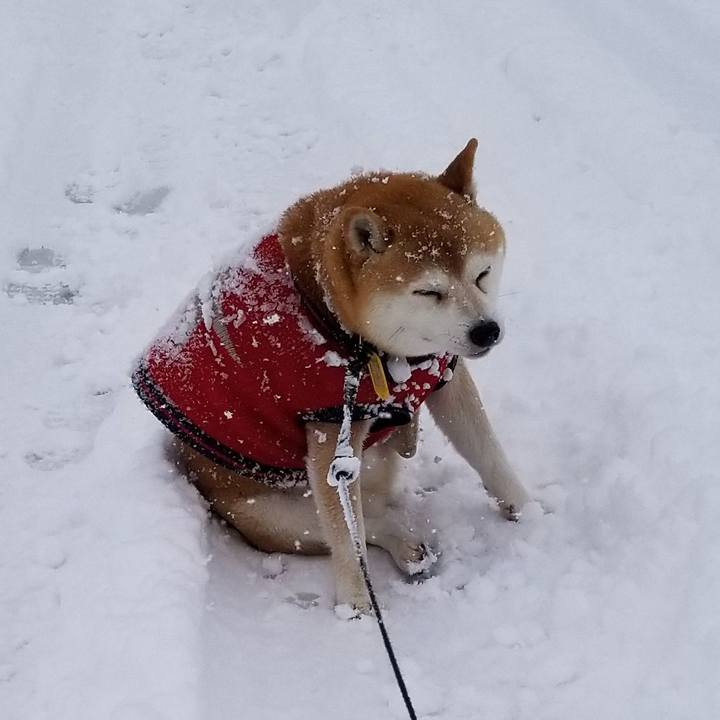 07722a8e 3c00 4bd0 a23a 29022631597a 1608094322244