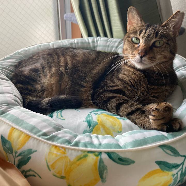 07722ab1 ddc8 4e1f 85dc fcdb916bdb4e 1718281253813