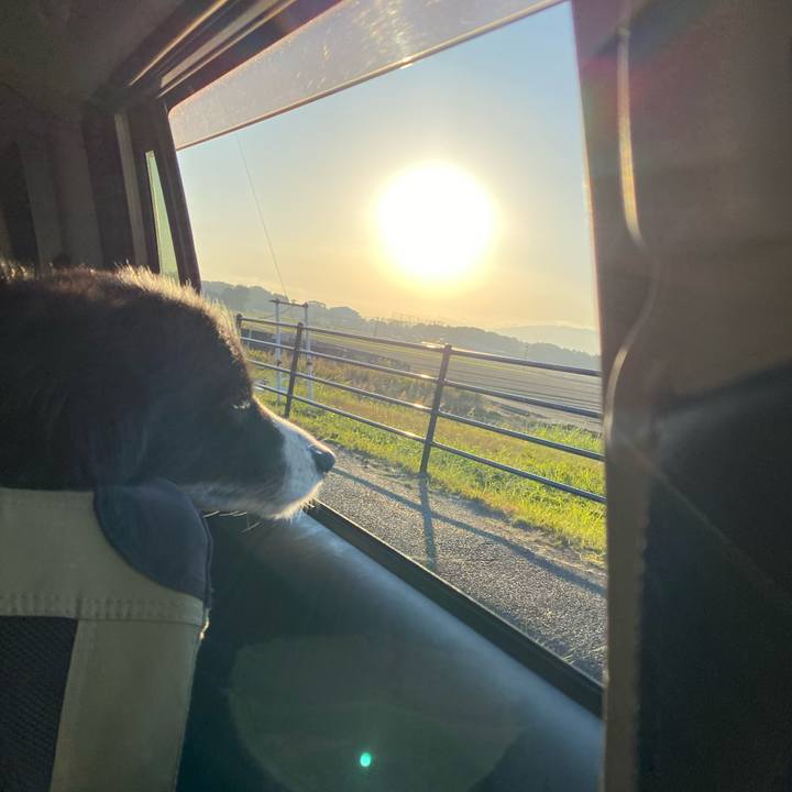 077237f5 7311 4c7e b03f ed4c7a4287ff 1636237667281