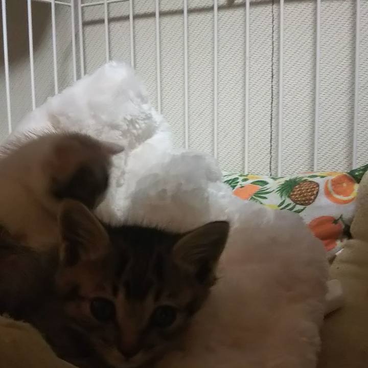 07724369 ce49 4a35 bb56 2c120bc156e6 1632389408962