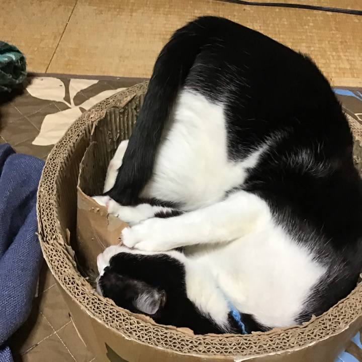 07725443 433e 4232 888a 0e20b1175b7c 1743333334408