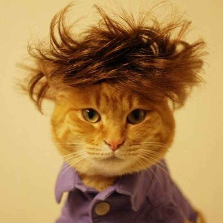 0772600f 3206 40b8 ad30 72a7f01d7b84 1629870380621