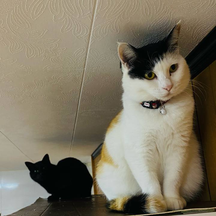 07727c41 77fc 4a98 b7fe 8c17ae574deb 1650834987784