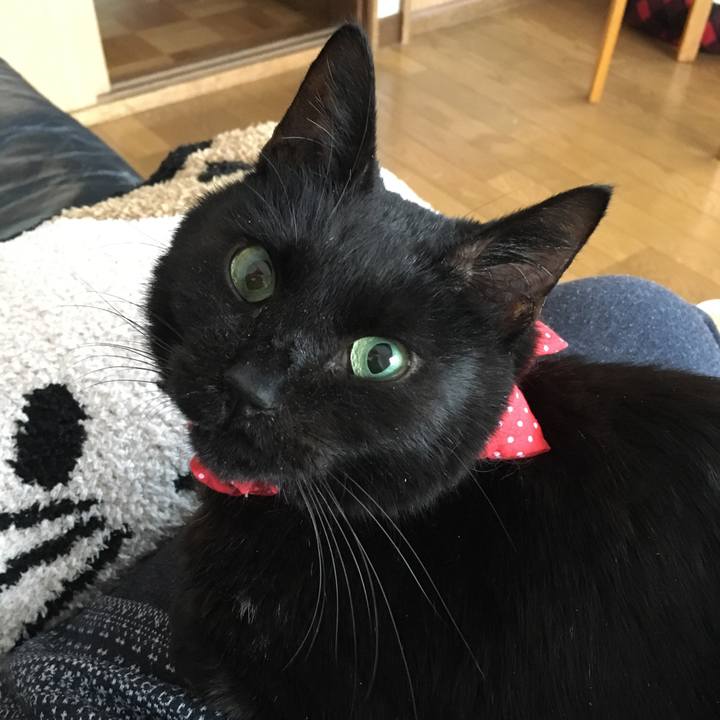 07729440 379d 4e51 b820 b8c449cfa902 1551684774126