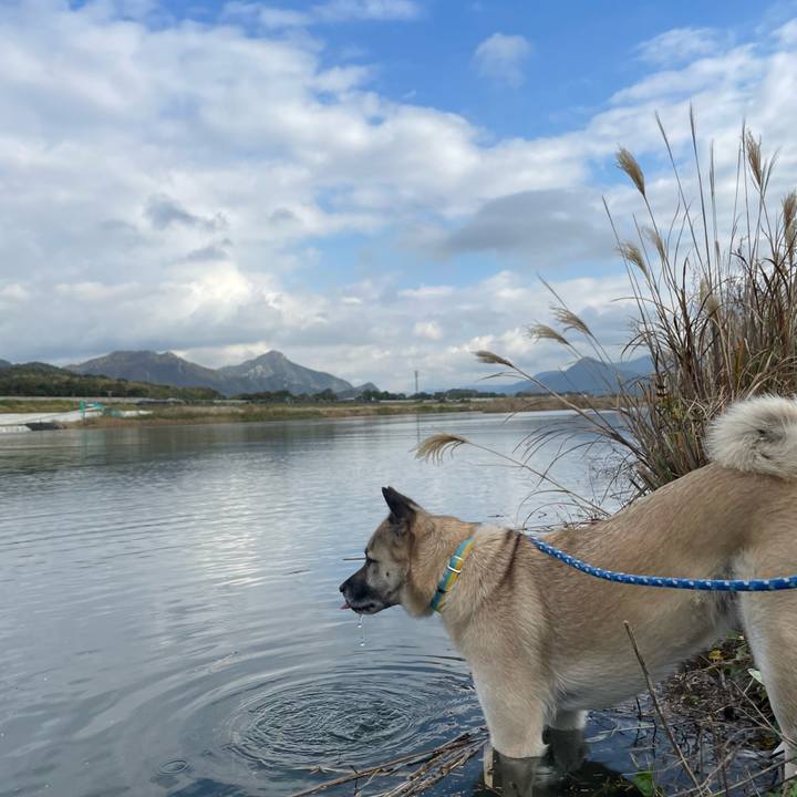 077317f2 1a8a 49be bfa7 457c5a960622 1669459470143