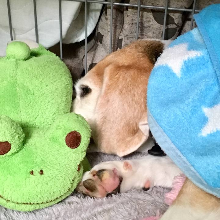 07732e60 ef03 44e6 a783 ad618627b835 1557808181585