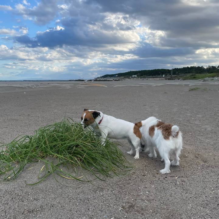 07739b36 d1db 4c47 8ddb 892909d4fc57 1758931081673