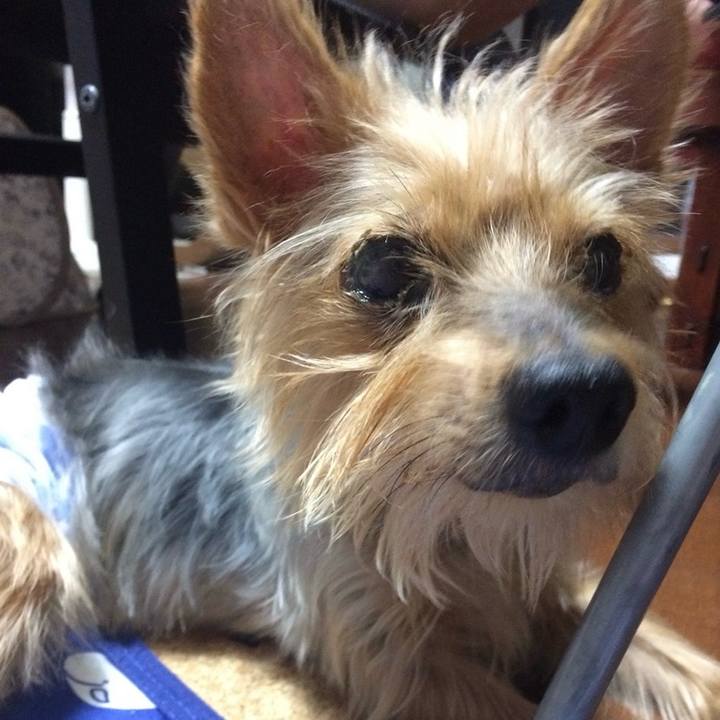 0773ff2d cfac 4705 af0c 81409380d4e1 1710056273953