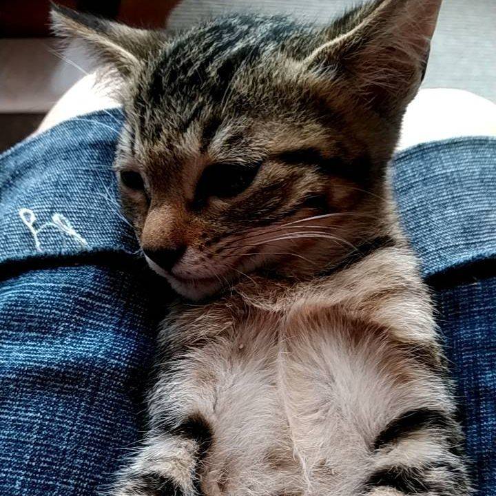 077404fc c890 43a7 b184 074052449fd0 1692683185837