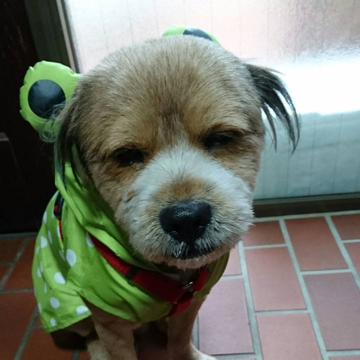 0774788f b143 4979 a22a 3366e8cd1106 1543233069438