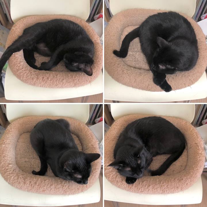 0774b63f 903e 4979 ae3e 19f7ec314fe5 1620914961605