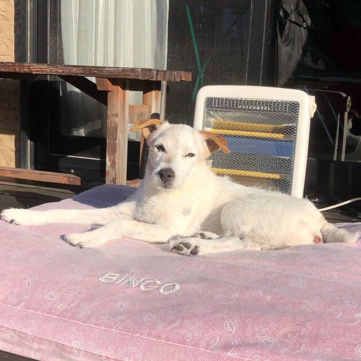 0774e340 3e0f 416d a717 422fb781bd4c 1636596059861