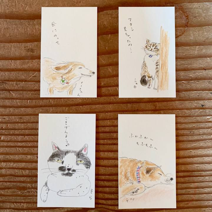 0774f7d5 57ae 46a1 a1b6 d3cf02416c42 1602640872525