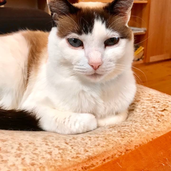 07751965 d44b 415e b61e ee50128b7a47 1553831701934