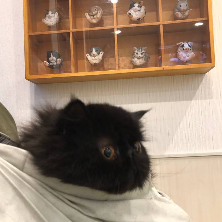 07753152 5865 4ae2 b5d1 d9db309d0228 1624108107010