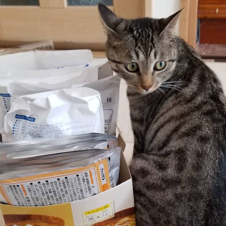 07754a5d 0ed4 4833 a78e 3026fe7e5a0c 1691131811147