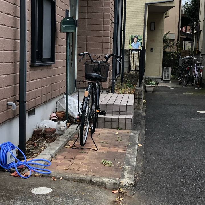 07755a40 0599 4e0c 9cf0 3c39234e5733 1607479755353