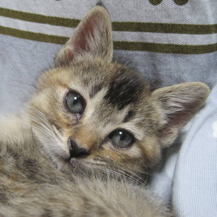 07755b72 fb4e 4c3a 8b4f 17e374ddf53d 1683802022648