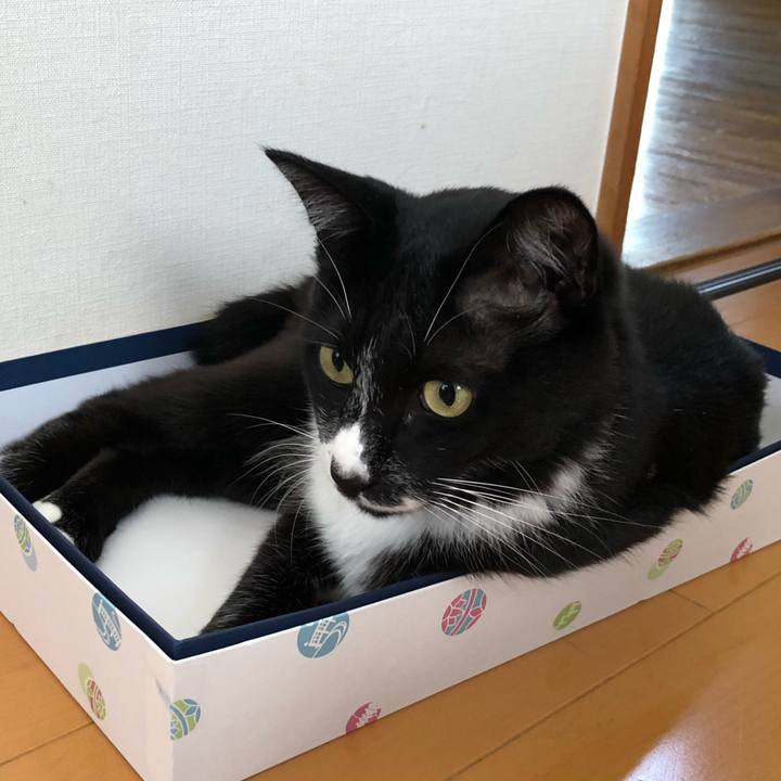 07755df5 4492 496b 9fa6 4fc4a8e7231a 1629776818277