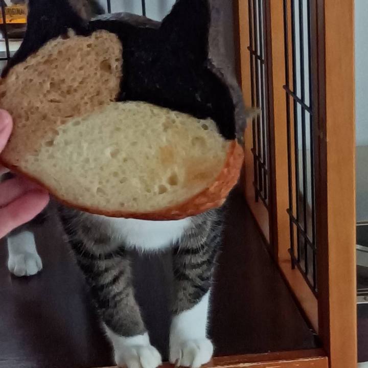 07756f79 b0b5 4a69 a635 f5b433302df1 1662207657207