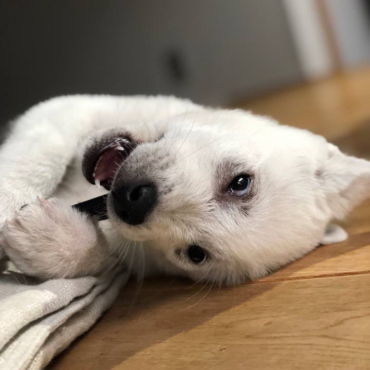 077593fe 3bc9 4217 8b97 a67c41807b16 1510971451471