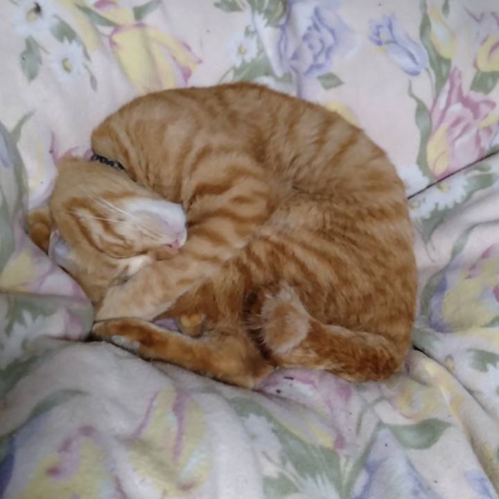 0775a14f 2939 4b83 883b e53d6a007fae 1668689301358