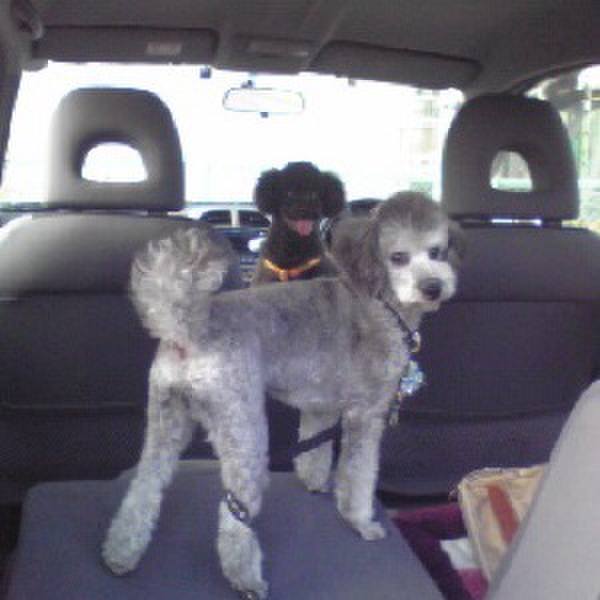 0775a38d e3c4 4d0a b9b3 c5721d80c9d8 1694392696638