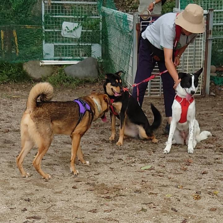 0775f9bd c822 4990 bfbe 9754724d634f 1694307128170