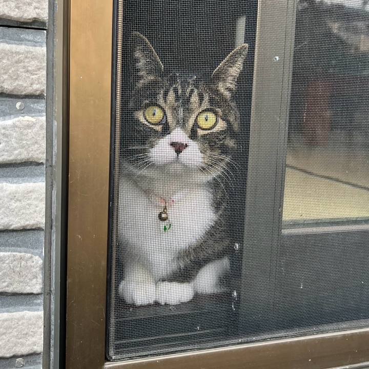 0776434a c3c3 497a 99dd 9e1fe05c0a7f 1776726750332