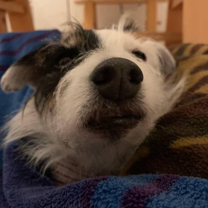 07764699 38f6 441a bddb 16577f6c0b41 1735388986597