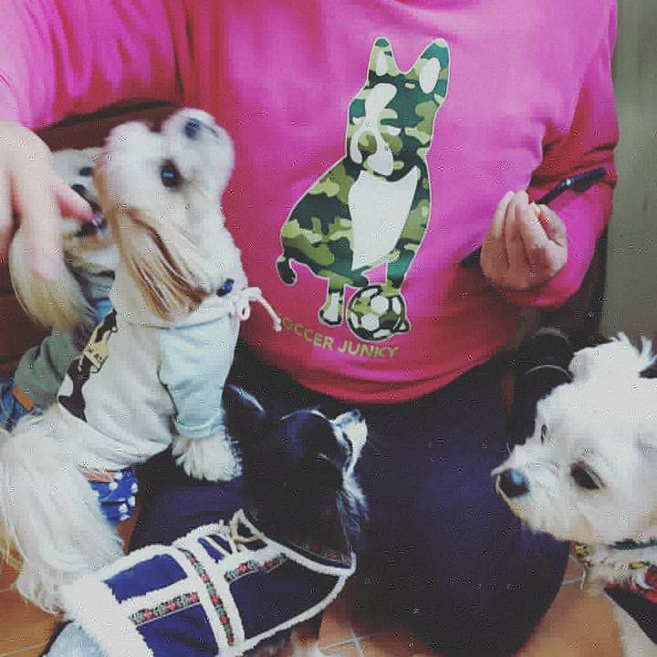 0776764d a165 4fcf 963f 0f67c5007d6a 1578832197808