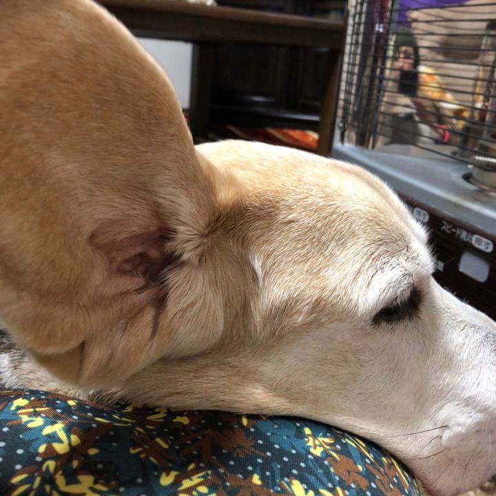 0776a352 dc79 4efe 8c4d b33ccbbb8827 1581389954035