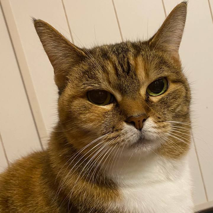 0776c4b4 6c4e 4165 a319 bfc860e56c6b 1671274307006