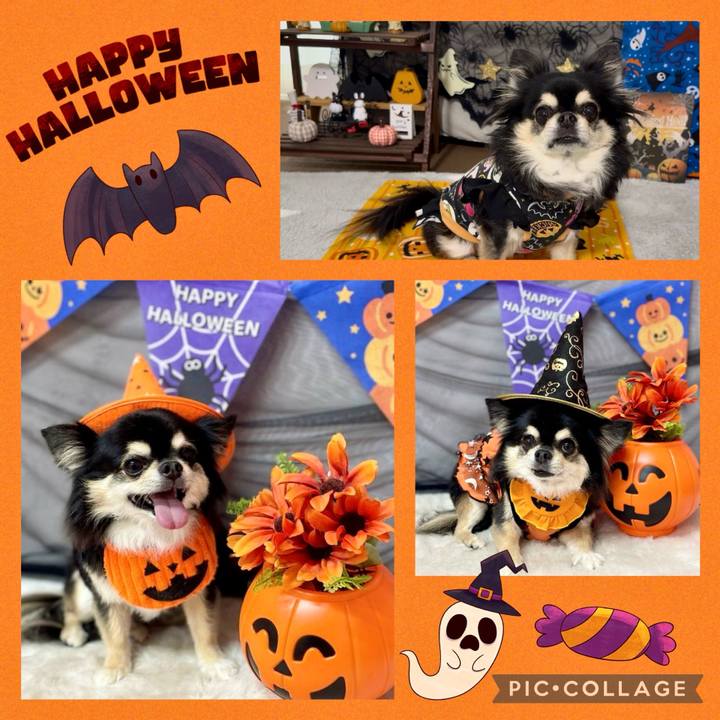 0776d7ef 4770 4266 8cd1 ef7db44f0379 1730285507841